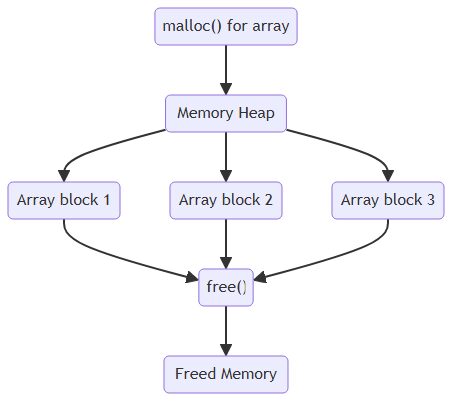 Dynamic Memory Allocation