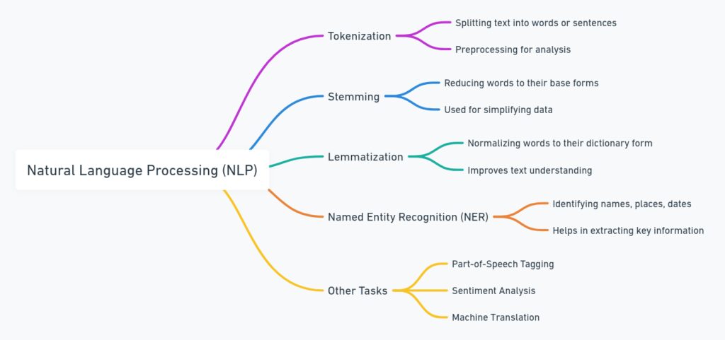 Natural Language Processing (NLP)