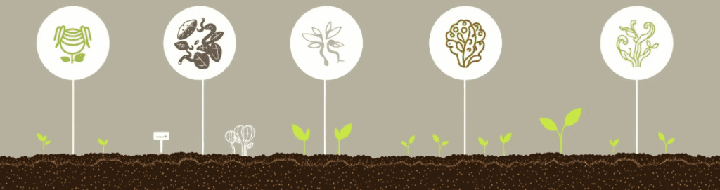 AI-Powered Soil Microbiome Analysis