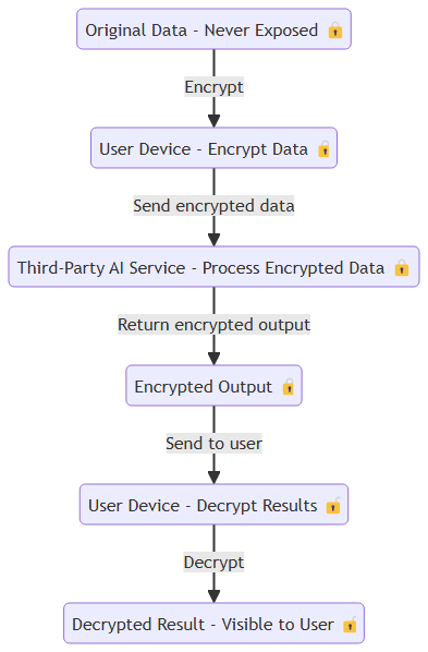 Homomorphic Encryption Workflow