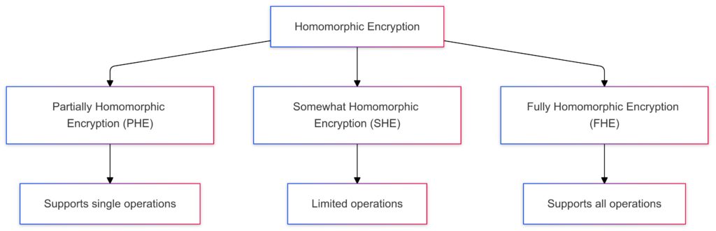 Classification of homomorphic encryption types and their capabilities.